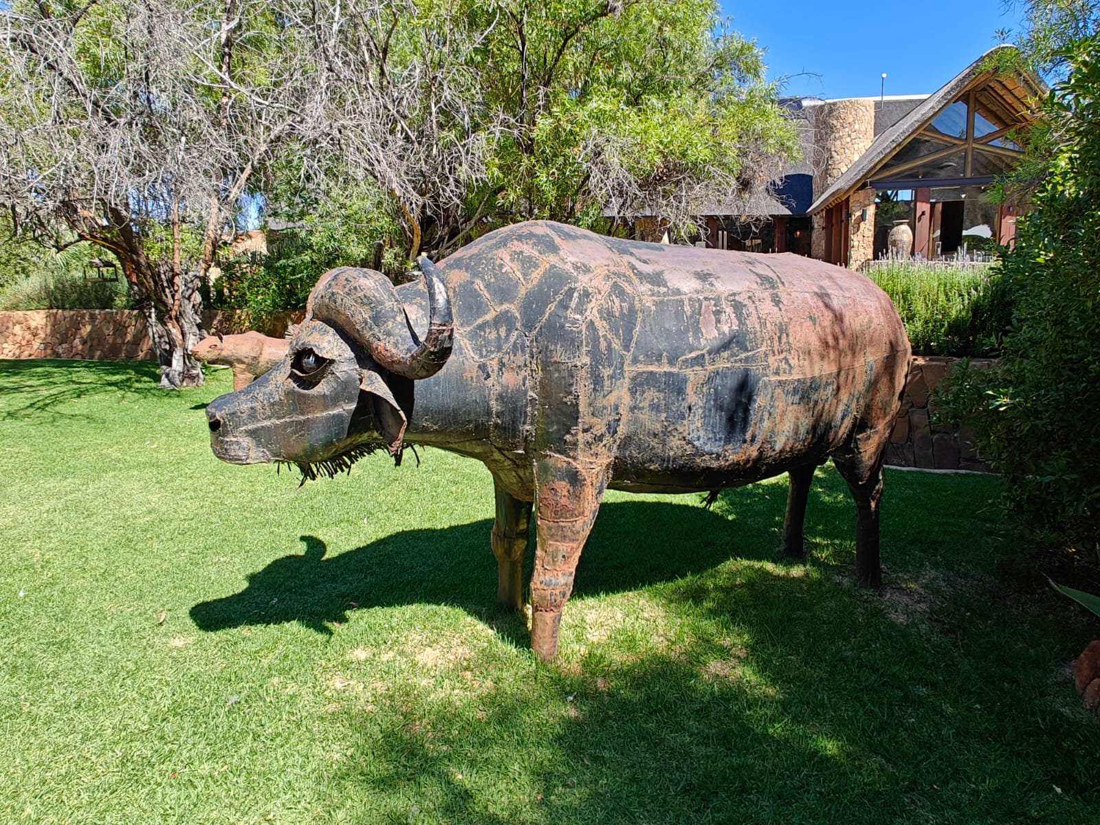 Aquila Game Reserve - Safari 6